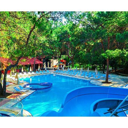 Festival Nature Hotel Kemer Bagian luar foto